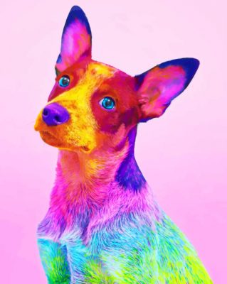 Colorful Dog paint By Numbers