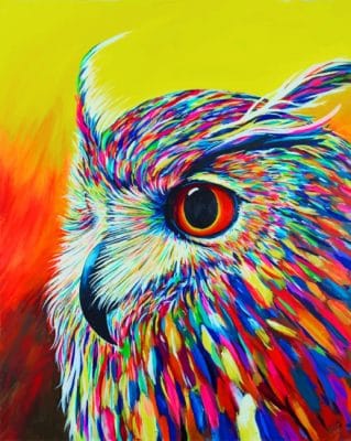 Colorful Owl paint By Numbers