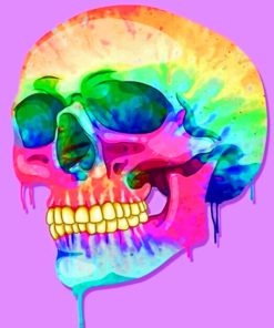 Creepy Skull paint By Numbers