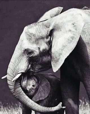 Elephants paint by Numbers