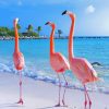 Flamingos On The Beach paint By Numbers