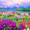 National Teton National Park paint By Numbers