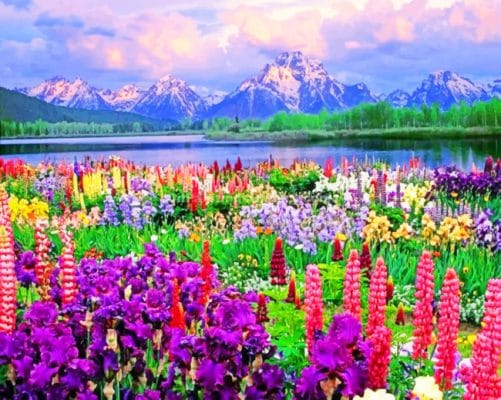 National Teton National Park paint By Numbers