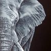 Half Elephant paint by Numbers