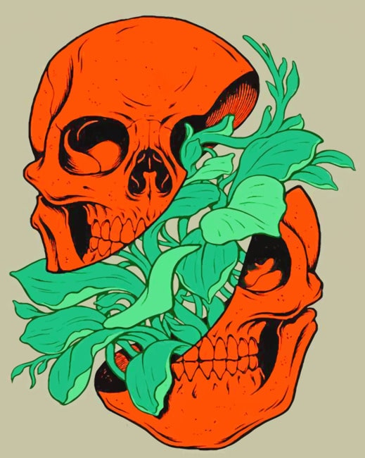 Indie Skull paint By Numbers