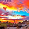 Joshua Tree National Park paint By numbers