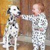 Like Dalmatian Like Kid paint By Numbers