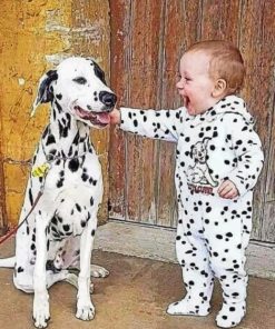 Like Dalmatian Like Kid paint By Numbers