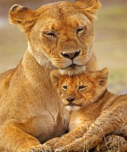 Lion Cub paint By NumbersAnd Mom