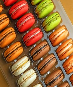 Macaroons paint By Numbers