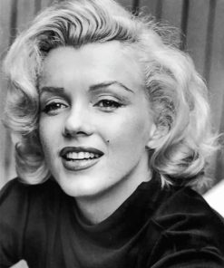 Black And White Marilyn Monroe paint By Numbers