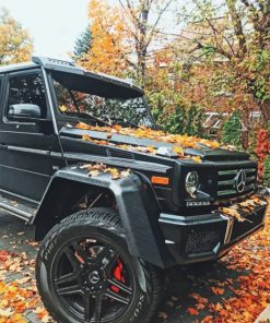 Autumn G Wagon paint By Numbers