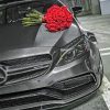 Red Roses On Mercedes paint By Numbers