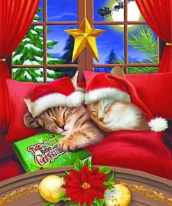 Merry Christmas Cats paint by numbers