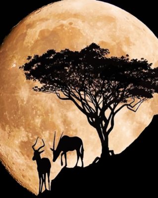 Aesthetic Moonlight paint By Numbers