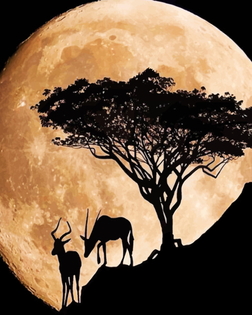 Aesthetic Moonlight paint By Numbers