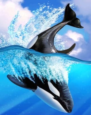 Orca Whale paint by Numbers