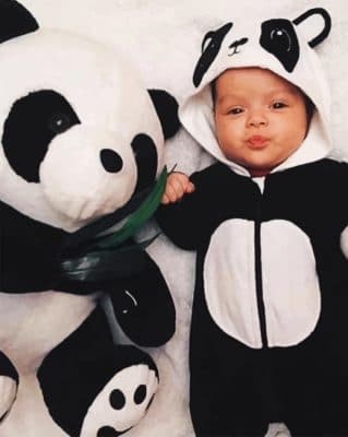 Panda outfit For Baby paint by numbers