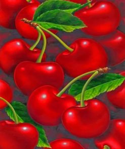 Red Cherry paint By Numbers