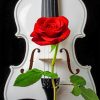 Red Rose With Violin paint By Numbers