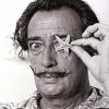 Salvador Dali paint By numbers