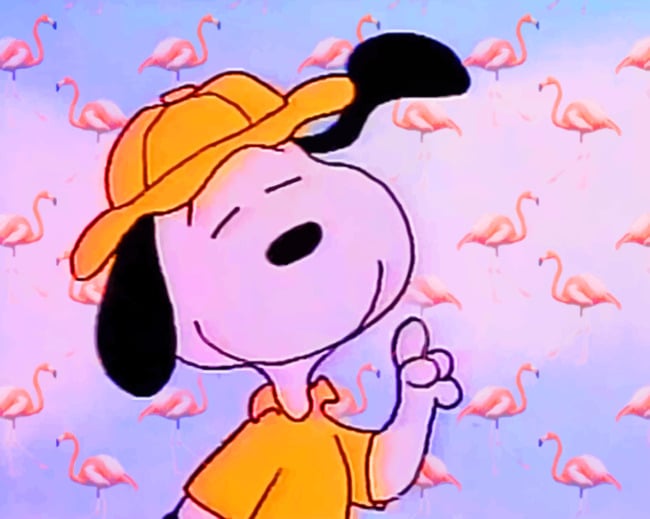 Snoopy paint By Numbers