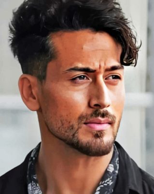 Tiger Shroff paint By Numbers