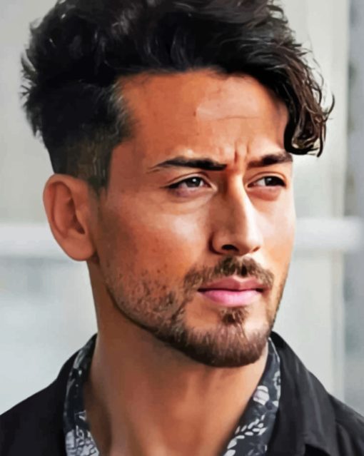Tiger Shroff paint By Numbers