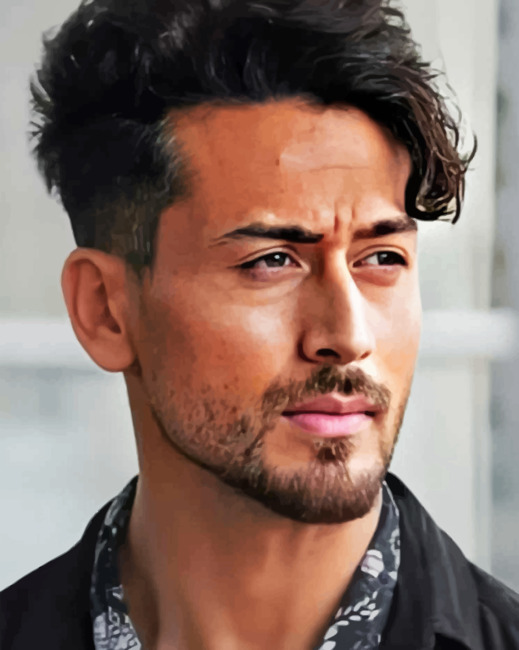 Tiger Shroff paint By Numbers