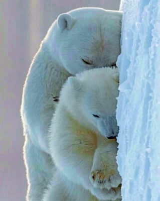 Polar Bears paint By Numbers