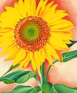 A Sunflower from Maggie paint by numbers