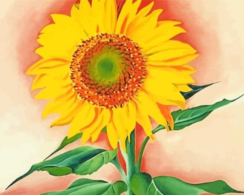 A Sunflower from Maggie paint by numbers