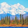 Alaska Mountains paint by numbers