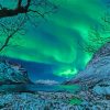 Winter Aurora Northern Lights paint by numbers