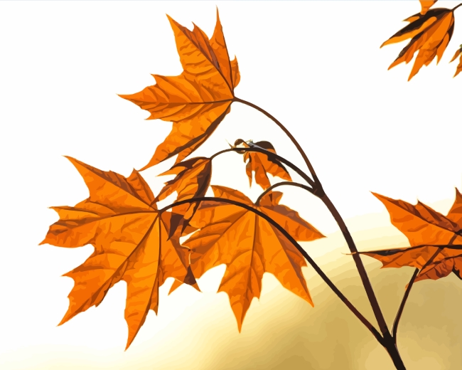 Autumn Leaves paint by numbers