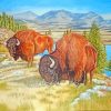 Bison Grazing Animals paint by numbers