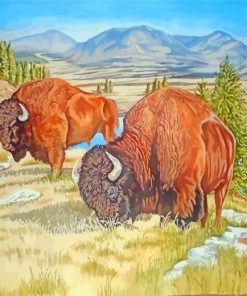 Bison Grazing Animals paint by numbers