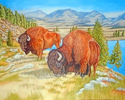 Bison Grazing Animals paint by numbers