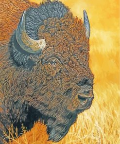 Bison Head Animal paint by numbers