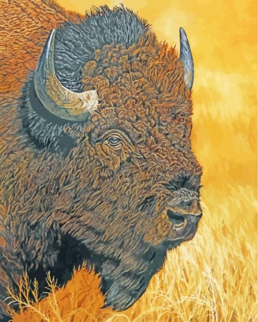 Bison Head Animal paint by numbers