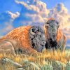 Bison Animals paint by number