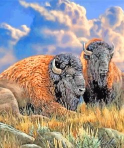 Bison Animals paint by number