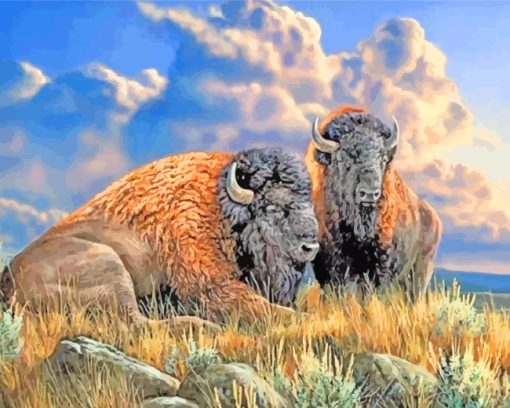 Bison Animals paint by number