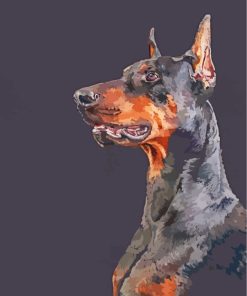 Black Doberman Art paintby numbers