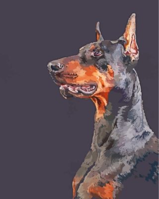 Black Doberman Art paintby numbers
