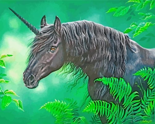 Black Unicorn Horse paint by numbers