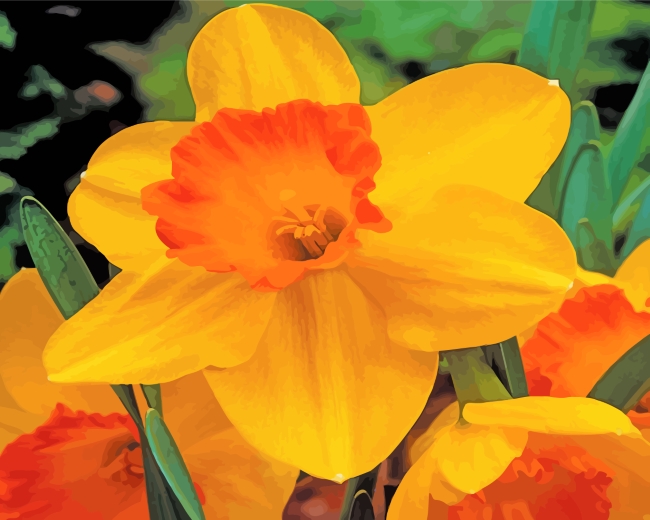 Blooming Orange Daffodil paint by numbers