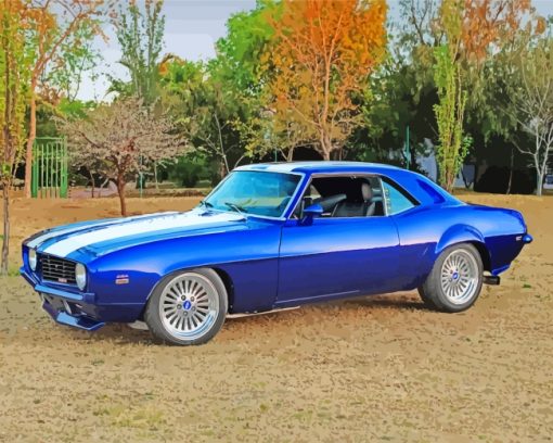 Camaro Chevrolet Car paint by numbers