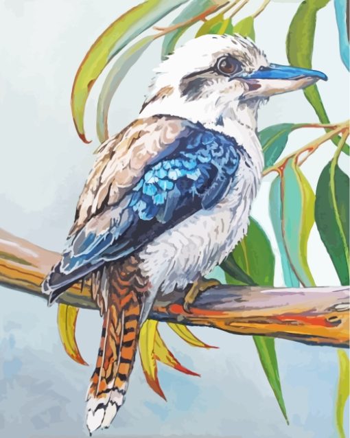 Aesthetic Kookaburra Bird paint by numbers