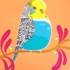 Budgie Bird Art paint by numbers